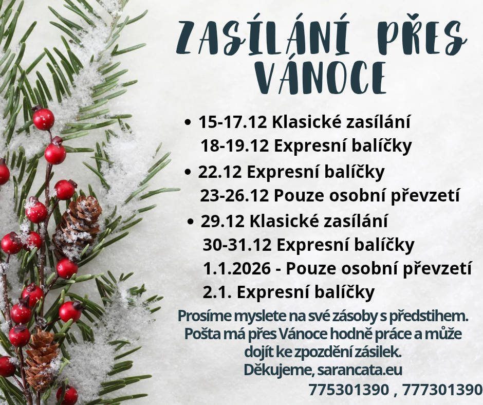 Přidat podnadpis_20251126_082911_0000